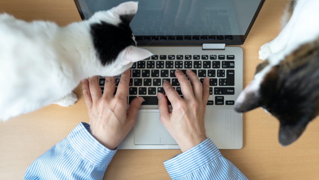 ひょっとしたらリモートワークが、日本の企業文化に必要なショックなのかもしれないPhoto: SetsukoN / Getty Images