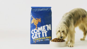 犬も本当はペットフードばかりじゃ飽きる？Photo: Archive Photos / Getty Images